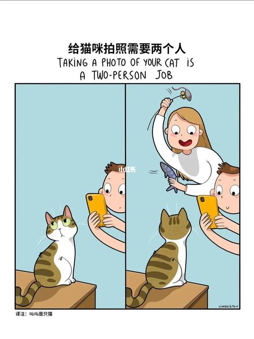 标题：养宠人都懂的时刻。（漫画）