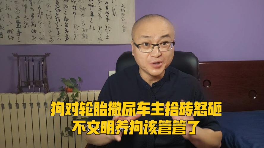 标题：宠物狗对车轮撒尿，车主拾砖怒砸